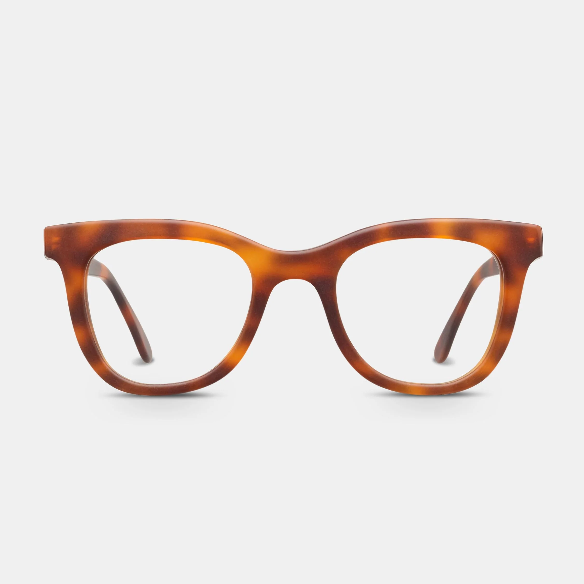 Amber - Image 13