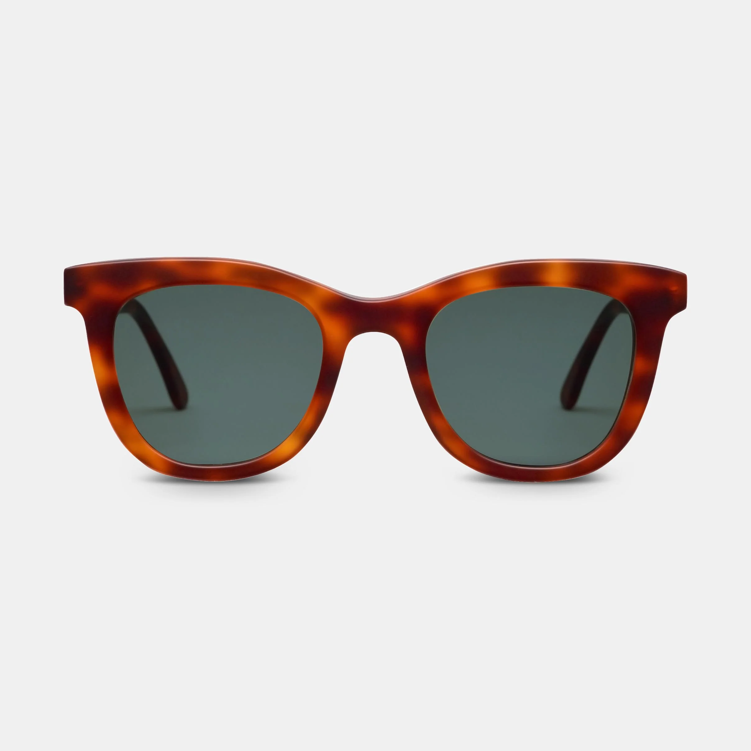 Amber - Image 16