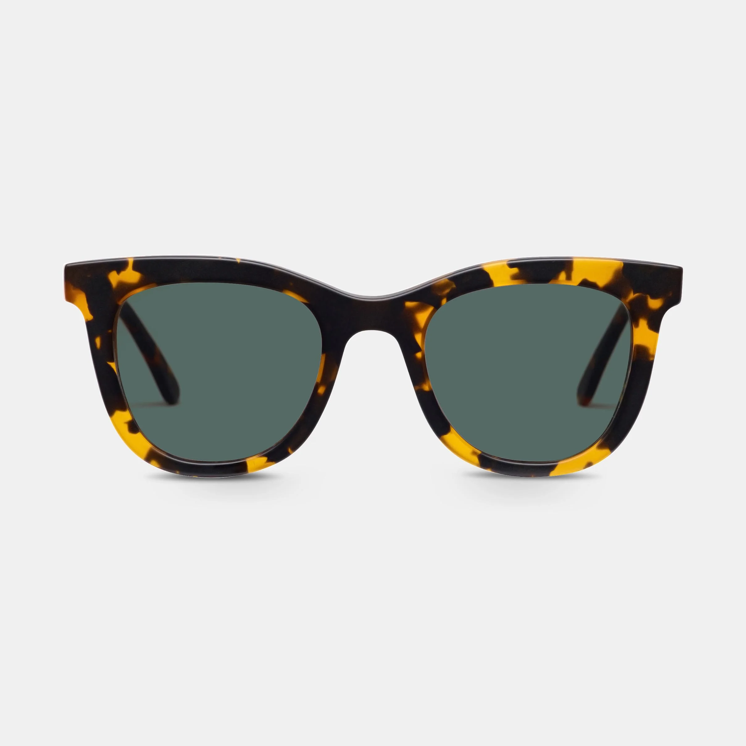 Amber - Image 3
